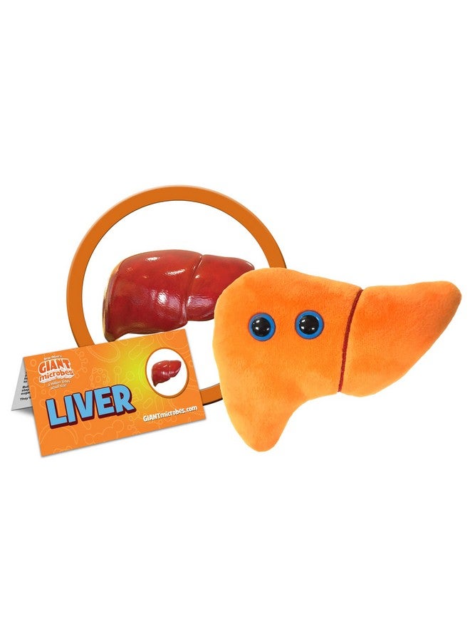 Giant Microbes GIANTmicrobes Stuffed Liver Plush, Liver Stuffed Animal, Anatomical Liver, Hepatologist Gift, Liver Transplant Gifts, Hepatitis Gift, Hepatology Gift, Cirrhosis Gift, Liver Pillow, Liver Donor Gift - Image 2