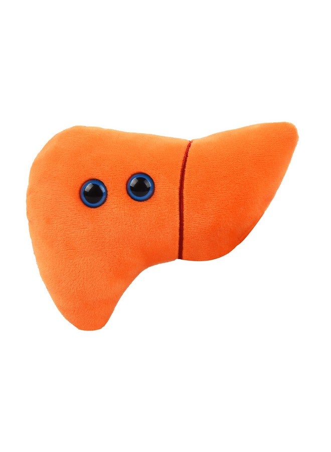 Giant Microbes GIANTmicrobes Stuffed Liver Plush, Liver Stuffed Animal, Anatomical Liver, Hepatologist Gift, Liver Transplant Gifts, Hepatitis Gift, Hepatology Gift, Cirrhosis Gift, Liver Pillow, Liver Donor Gift - Image 1