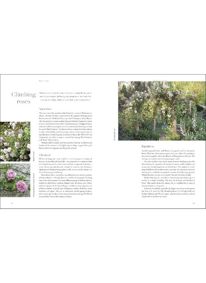 RHS Roses: An Inspirational Guide to Choosing and Growing the Best Roses  - Image 5