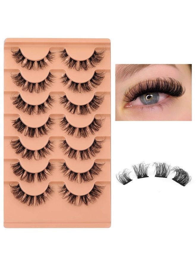 Eefofnn Natural Cluster Lashes D Curl Eyelash Extensions Wispy Individual Lashes Strips False Eyelashes DIY Lash Extensions Multipack by Eefofnn - Image 2