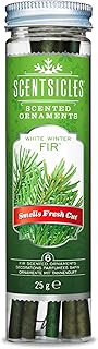 ScentSicles Scentsicles Tree Ornament White Winter Fir Scented Sticks, Green (01108-001T) - Image 1
