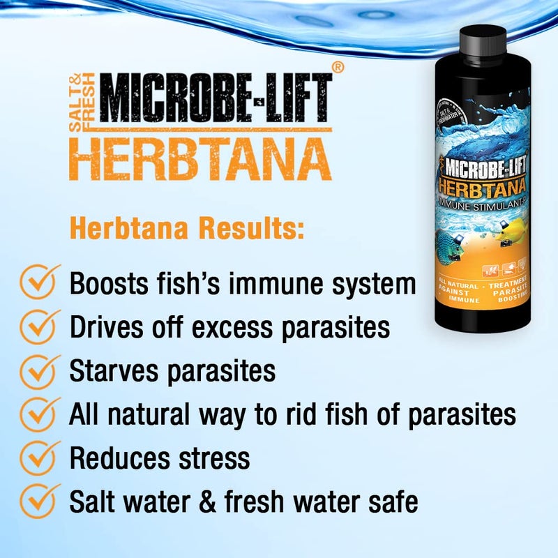 Microbe Lift MICROBE-LIFT HERB16 Herbtana Immune Booster and Natural Parasite Remover for Freshwater and Saltwater Home Aquariums and Fish Tanks, 16 Ounces - Image 4