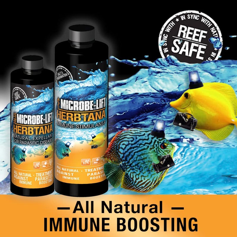 Microbe Lift MICROBE-LIFT HERB16 Herbtana Immune Booster and Natural Parasite Remover for Freshwater and Saltwater Home Aquariums and Fish Tanks, 16 Ounces - Image 2