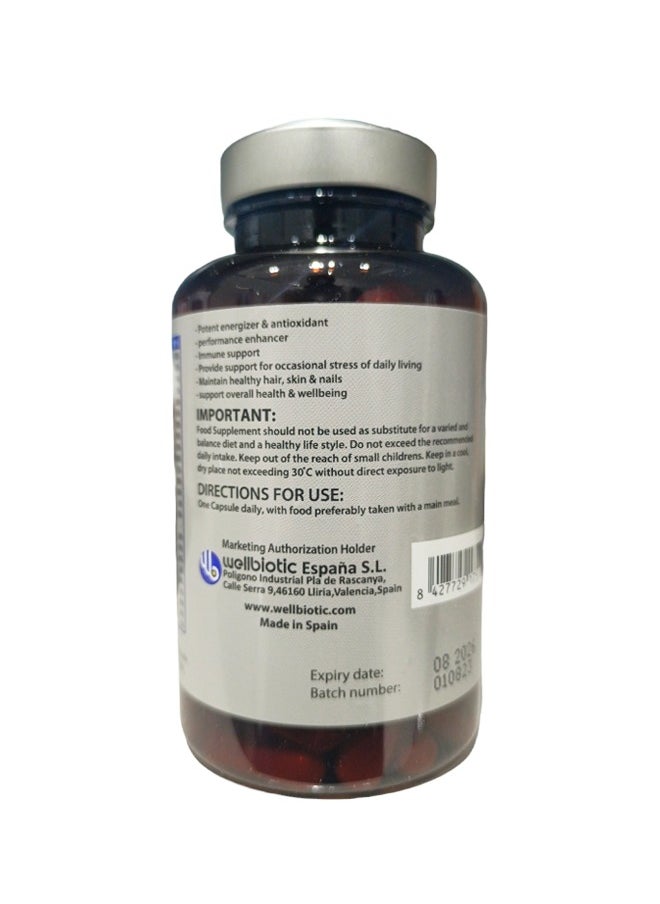 MultiMax Dietary Supplement - Advanced Multivitamin & Mineral Complex with Antioxidant, One-A-Day - 90 Capsules