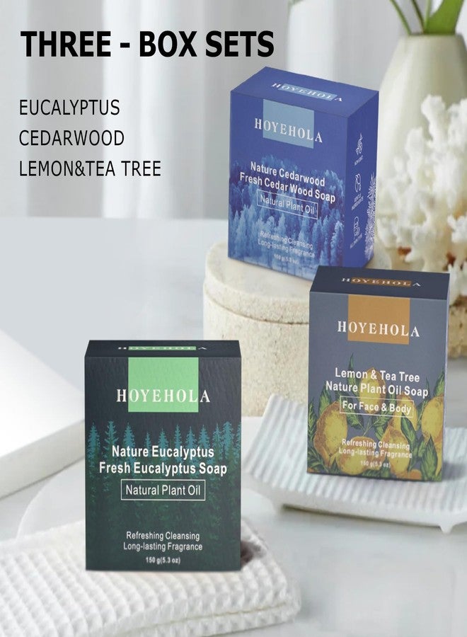 HOYEHOLA 3Pcs Natural Soap Bars for Bath Wash - Fresh Plant Essential Oils Eucalyptus, Cedarwood, Lemon Soap Bars for All Skin Type - Image 4