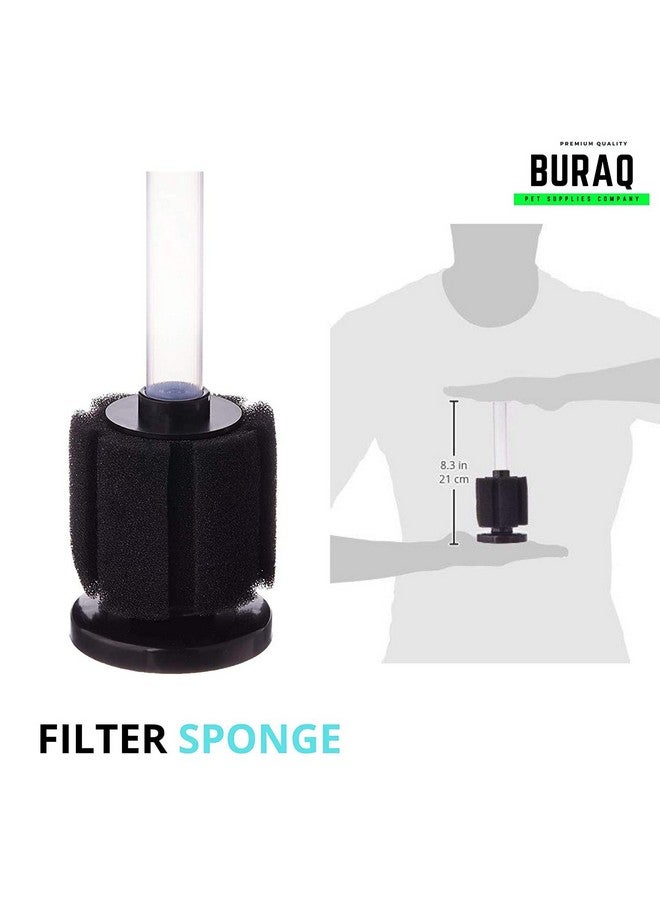 BURAQ Aquarium Hobby St Beginner Kit Set For Aquarium Includes Oxygen Air Pump Motor | Sponge Filter | Begginer | Advance | Pro | Complete - Image 4