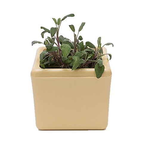 Sharpex Flower Pot with Screws (13 Cm X 12.5 Cm X 14.5 Cm) – Durable Plastic Pot for Indoor/Outdoor Plants, Includes Water Funnel & Hanging Slots, Brown - Image 5