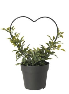 FEJKA Artificial heart-shaped potted plant indoor outdoor myrtle plant  - Image 1
