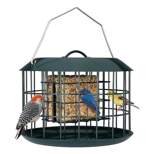 Kingsyard Squirrel Proof Suet Feeder, Cage Bird Feeders for Outdoors Hanging, All Metal, Double Suet Cake Capacity, Tray & Weatherproof, Green - Image 1