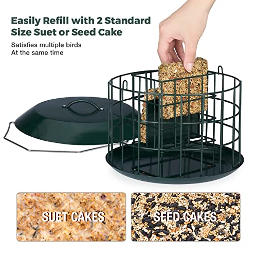 Kingsyard Squirrel Proof Suet Feeder, Cage Bird Feeders for Outdoors Hanging, All Metal, Double Suet Cake Capacity, Tray & Weatherproof, Green - Image 3