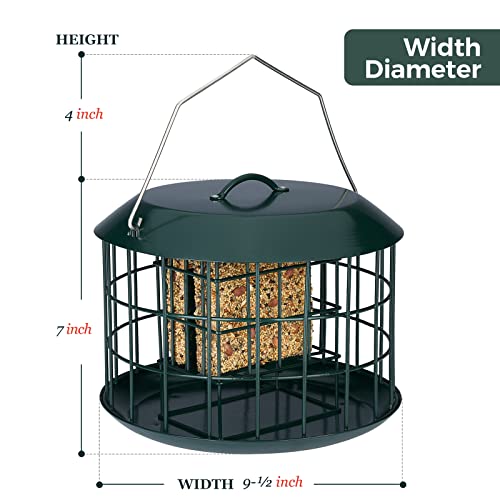 Kingsyard Squirrel Proof Suet Feeder, Cage Bird Feeders for Outdoors Hanging, All Metal, Double Suet Cake Capacity, Tray & Weatherproof, Green - Image 5