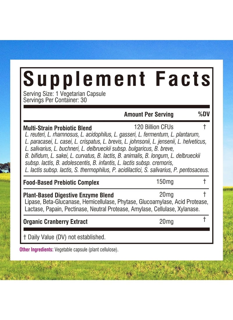Innate Vitality Dietary supplement for immune health in the body 120 Billion - 30 Capsules  - Image 2