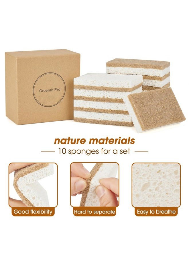 GREENTH PRO 10 Pack Nature Dish Sponge - Natural Kitchen Sponge - Coconut Fiber and Wood Cellulose Scrubber Sponge - Image 3