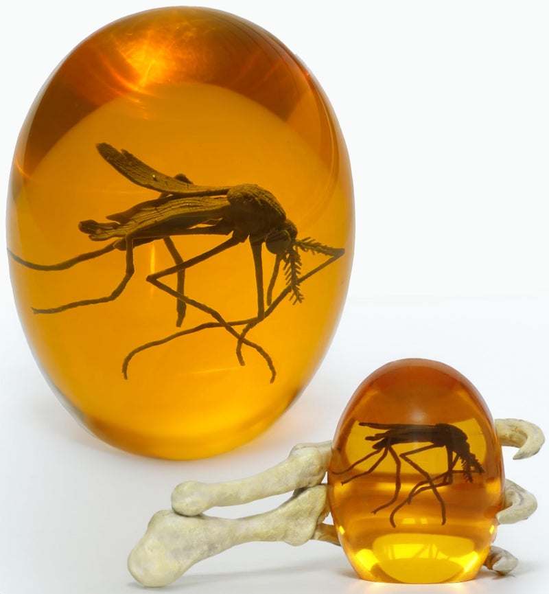 VEOJEIN 3D Mosquito in Amber & Jurassic Dinosaur Hand, 6.5â€ x 3.0â€ Gift for Collectors and Enthusiasts, Aged Effect Paperweight, Original Design Desk Decor - Image 5