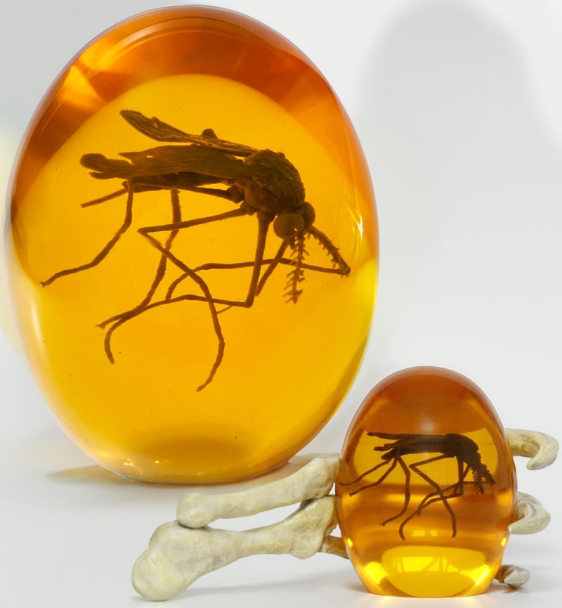 VEOJEIN 3D Mosquito in Amber & Jurassic Dinosaur Hand, 6.5â€ x 3.0â€ Gift for Collectors and Enthusiasts, Aged Effect Paperweight, Original Design Desk Decor - Image 1