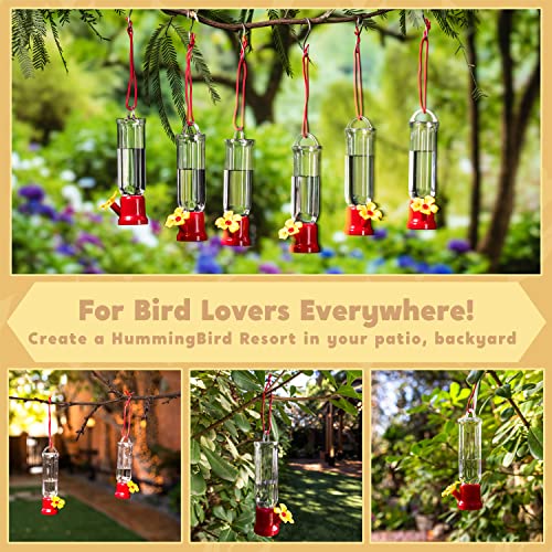 JOIEDOMI Set of 6 Mini Hummingbird Feeders with Hanging Wires, Transparent Outdoor Humming Bird Feeder Set with 3 Cleaning Brush for Patio, Outside, Lawn, Backyard, Garden, Easy to Clean - Image 4