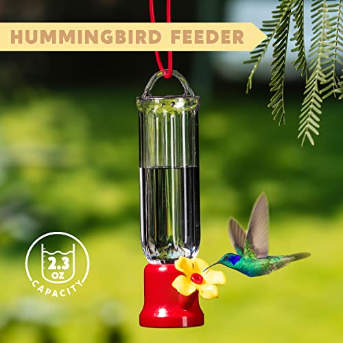 JOIEDOMI Set of 6 Mini Hummingbird Feeders with Hanging Wires, Transparent Outdoor Humming Bird Feeder Set with 3 Cleaning Brush for Patio, Outside, Lawn, Backyard, Garden, Easy to Clean - Image 2