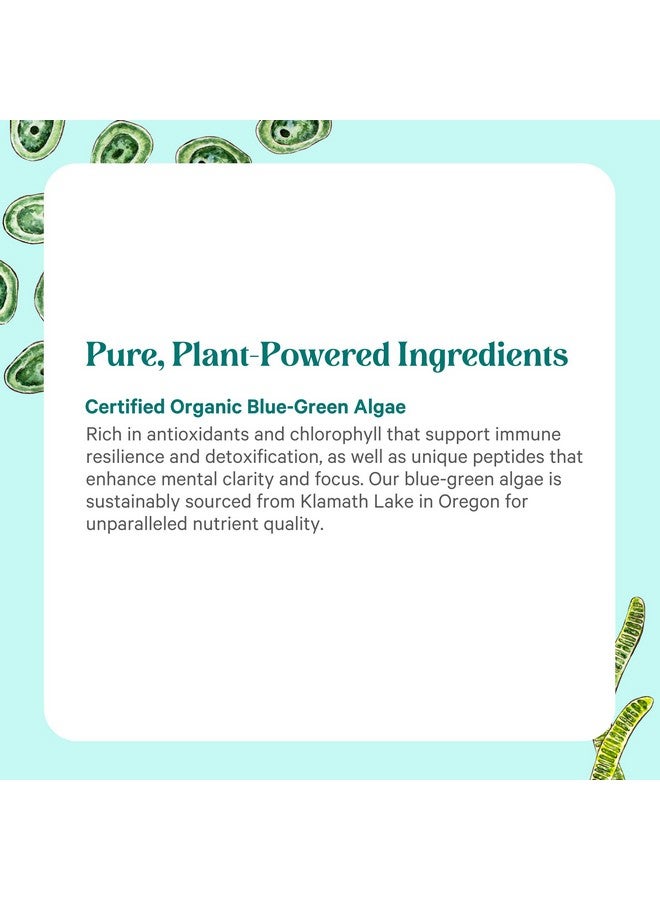 Pure Synergy مسحوق الطحالب الزرقاء-الخضراء النقية | مسحوق سوبر فود مع الكلوروفيل | مكمل الطحالب الزرقاء-الخضراء العضوي AFA | يدعم الطاقة، وضوح الذهن، وإزالة السموم (3.2 أونصة)  - Image 5