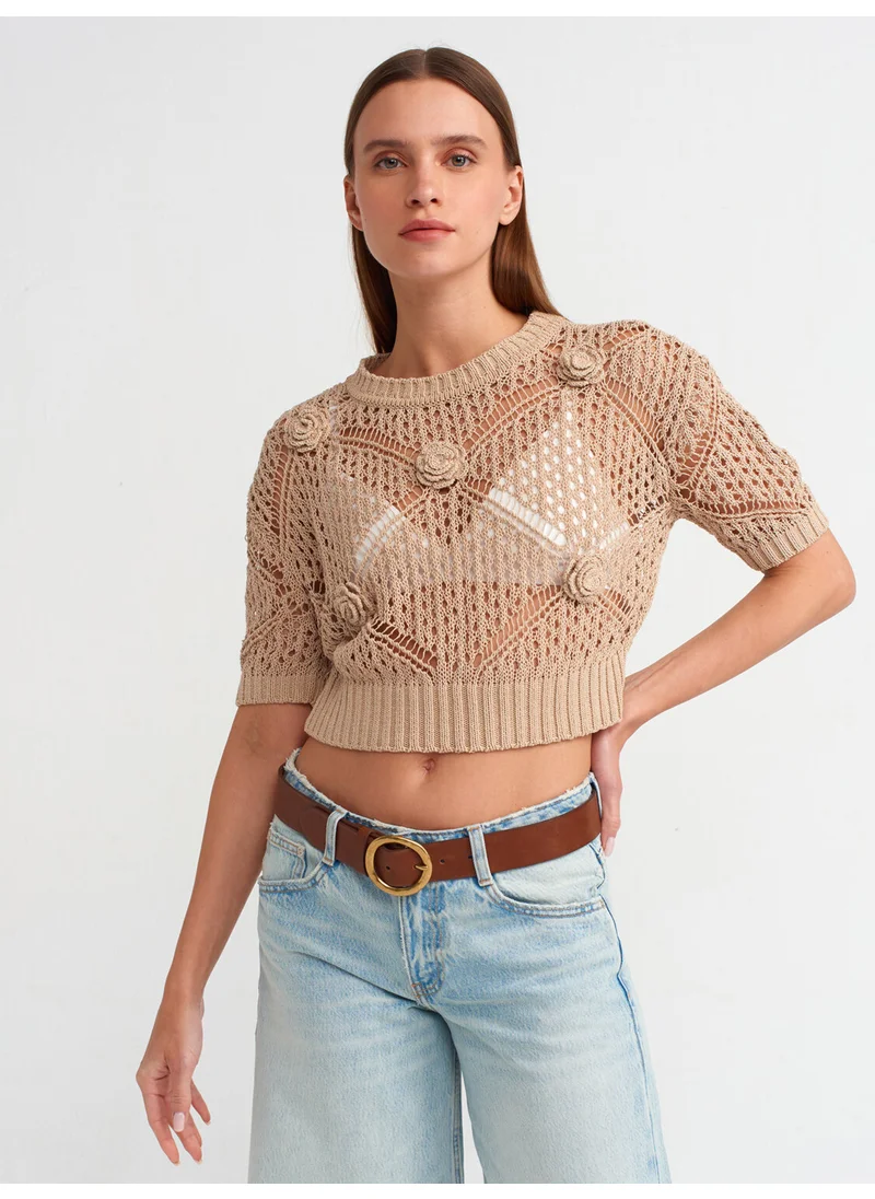 ديلفين 10584 Crew Neck Openwork Handcrafted Flower Motif Knitwear Sweater - Beige