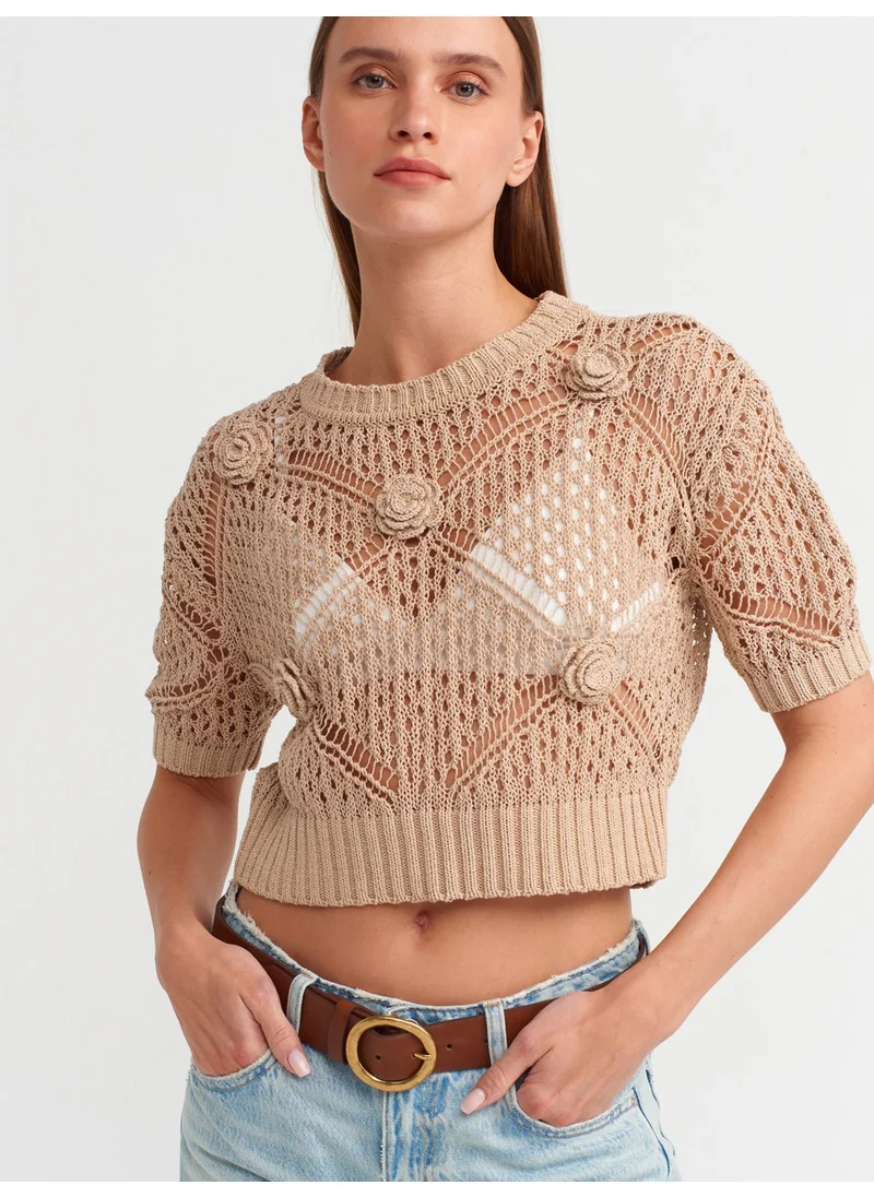 ديلفين 10584 Crew Neck Openwork Handcrafted Flower Motif Knitwear Sweater - Beige