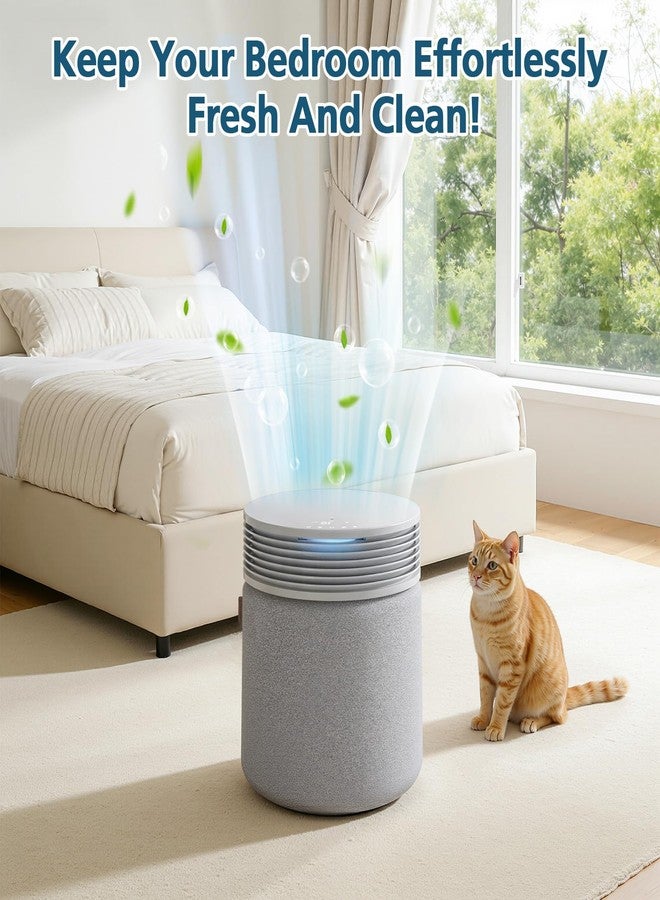 WILERDA SP4i Replacement Filter Compatible with SP4i Blue Signature Large Model Air Purifier, 3 in 1 HEPA & Activated Carbon Air Purifier Filter - Image 3