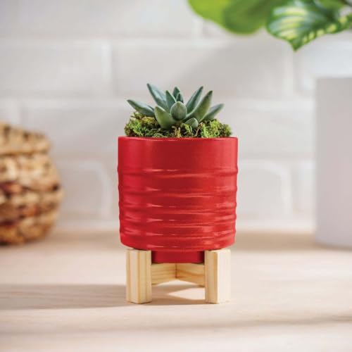 Krylon KSCB005 Short Cuts Brush-On Paint, 1-Ounce, Red Pepper - Image 4