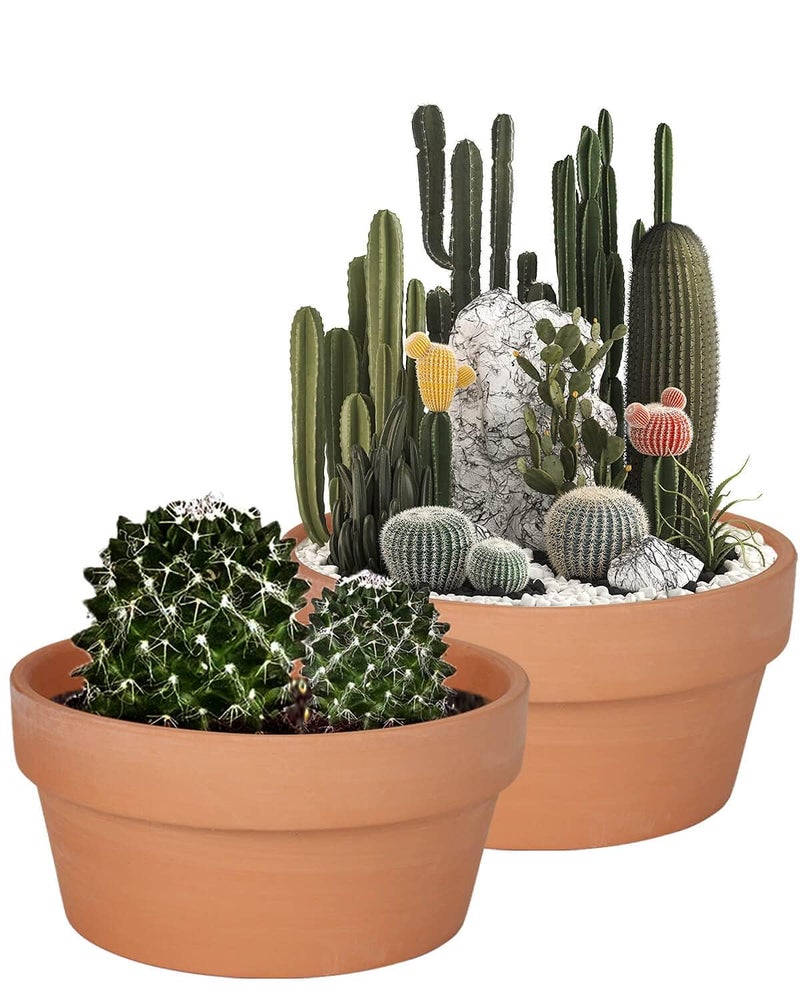 vensovo 8 Inch Terracotta Shallow Succulent Pot - 2 Pack Large Terra Cotta Clay Pot, Cacuts Indoor and Outdoor Planters with Drainage Hole - Image 1