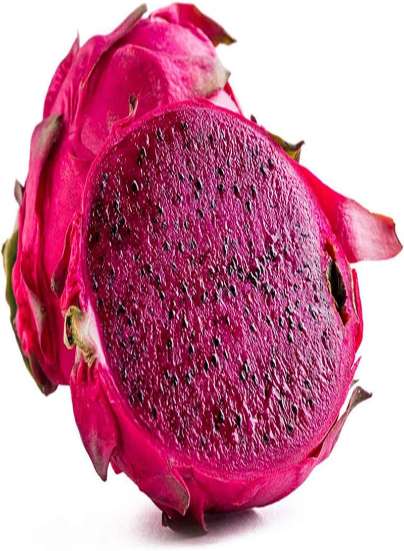 جي جوت 100 قطعة من بذور بيتايا، فاكهة التنين ذات اللحم الممتلئ، نبات معمر متسلق، عصاري، فاكهة أساسية في المطبخ، طرية وعصيرية، لذيذة وحلوة - Image 2