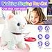 Marsjoy White Leash Walking Cat Set Singing That Purrs and Meows Animated Plush Robot Kitten Pet Moving Plush Realistic Stuffed Animal Remote Control Cute Kawai Robotic Kitty Toy for Kid - Image 4