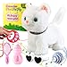 Marsjoy White Leash Walking Cat Set Singing That Purrs and Meows Animated Plush Robot Kitten Pet Moving Plush Realistic Stuffed Animal Remote Control Cute Kawai Robotic Kitty Toy for Kid - Image 2
