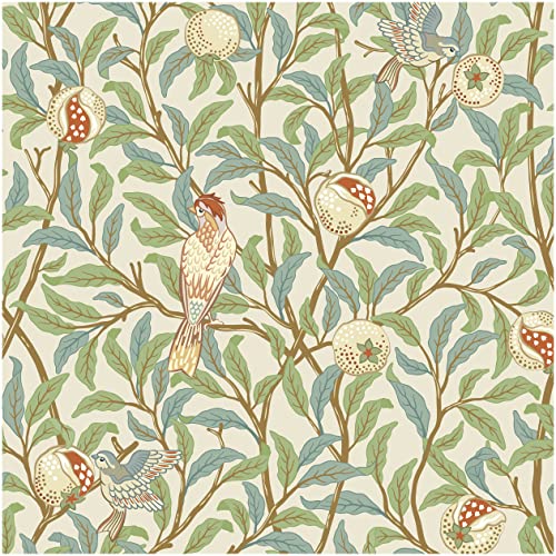 Blooming Wall DPYC10-1 Vintage Green Pomegranate Tree with Hummingbird on Textured Peel and Stick Wallpaper Self-Adhesive Prepasted Wallpaper Wall Décor - Image 1