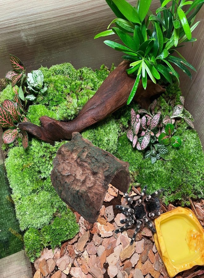 M2cbridge Resin Hollow Tree Trunk Betta Log Crab House Cave for Fish Shrimp Small Reptile Turtle Tarantula Spider Hermit Crab(2PCS Big) - Image 5