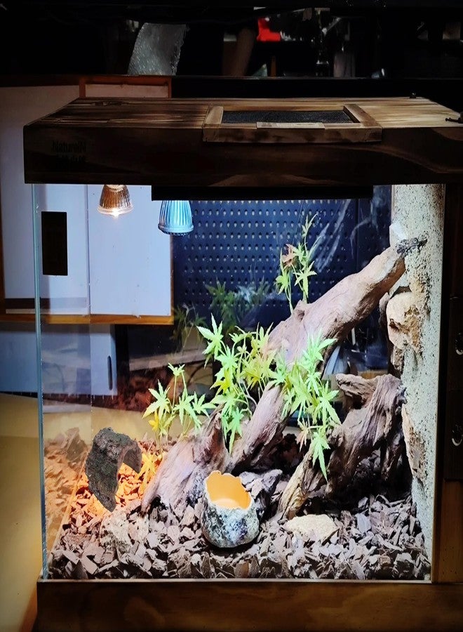 M2cbridge Resin Hollow Tree Trunk Betta Log Crab House Cave for Fish Shrimp Small Reptile Turtle Tarantula Spider Hermit Crab(2PCS Big) - Image 4