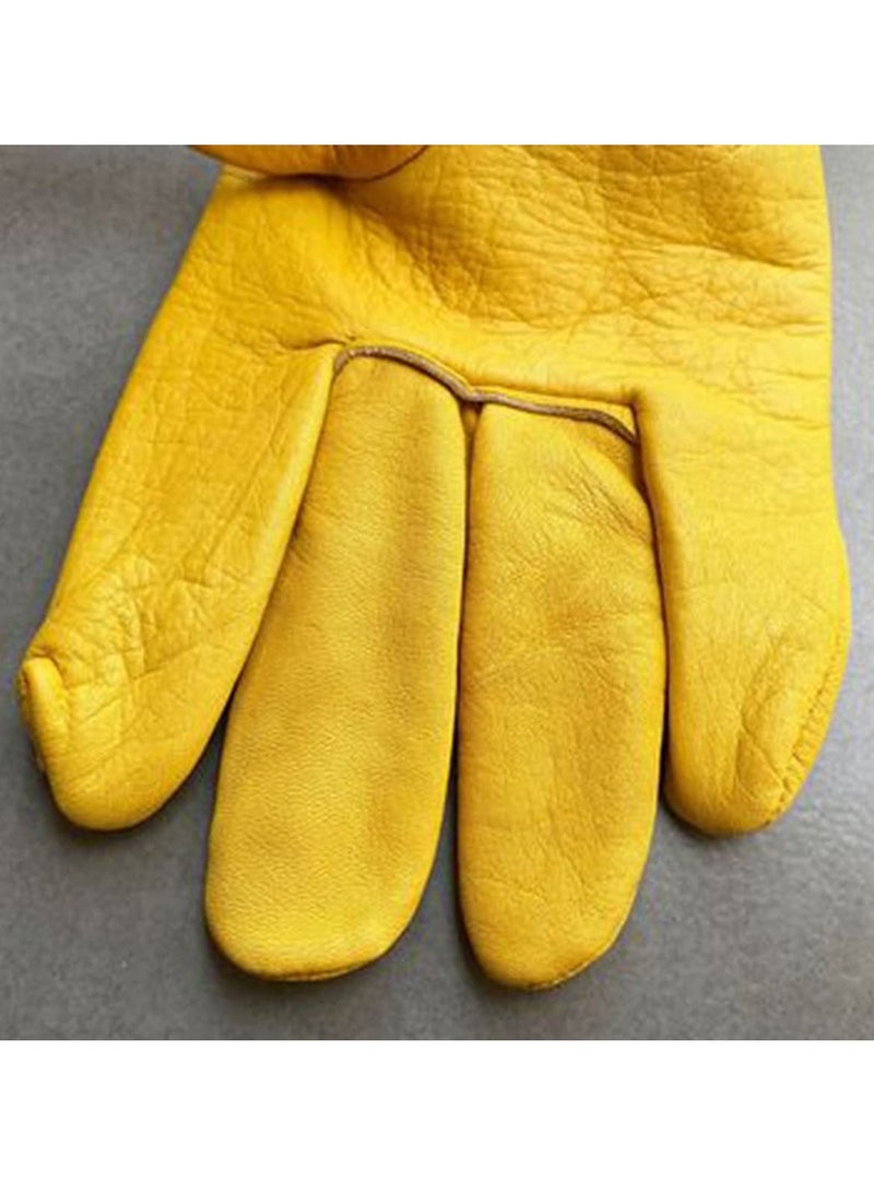 Cactus Gloves Thorn Proof Gardening for Rose Pruning Cacti Handling Leather Garden Work