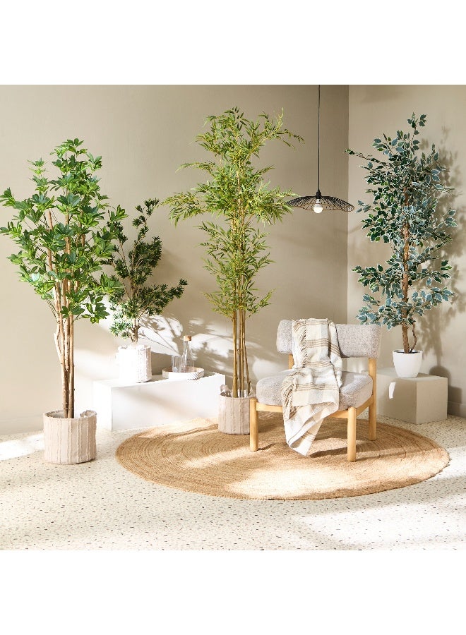 Home Box Teodora Artificial Ficus Tree - 180 cm  - Image 4