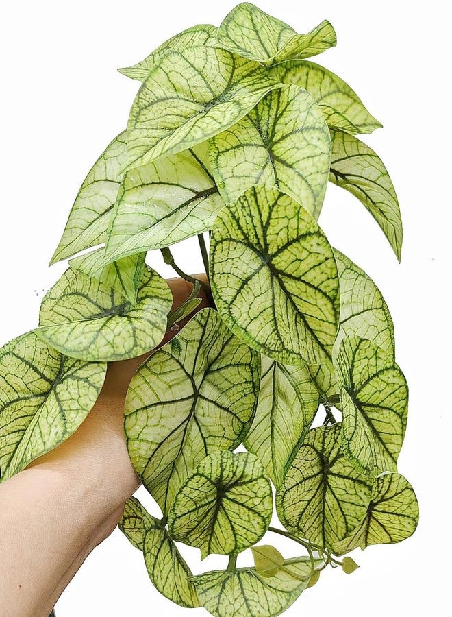 KERUIDENG Reptile Plants for Terrarium Decor, Amphibian Habitat Decor, Reptile Tank Accessories, Artificial Hanging Plants with Suction Cup-2 Packs (Green Arrowhead) - Image 2