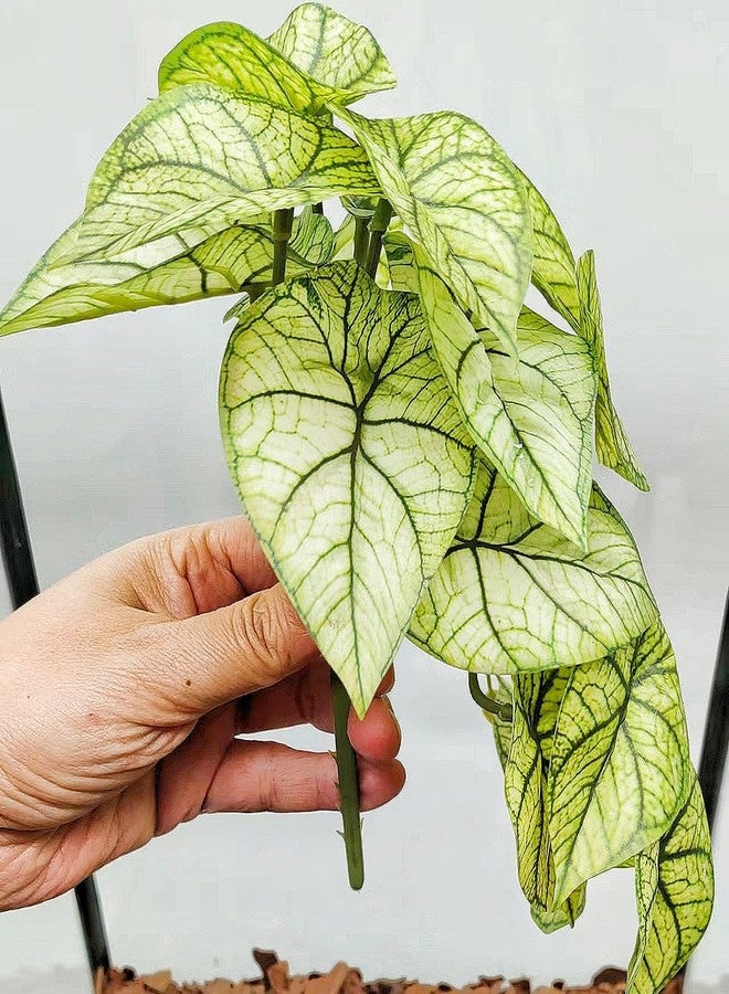 KERUIDENG Reptile Plants for Terrarium Decor, Amphibian Habitat Decor, Reptile Tank Accessories, Artificial Hanging Plants with Suction Cup-2 Packs (Green Arrowhead) - Image 3