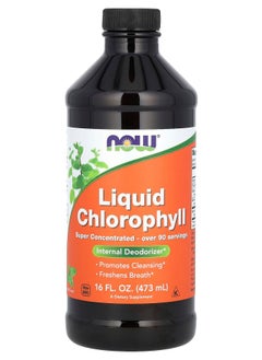Liquid Chlorophyll Mint  16 fl oz (473 ml)