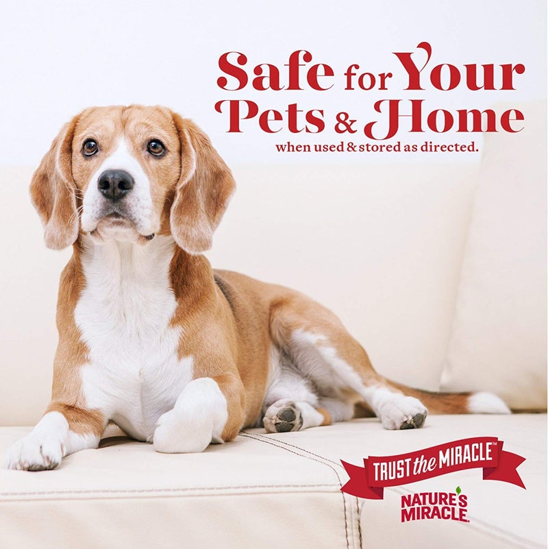 Nature's Miracle Stain and Odor Remover for Dogs, Odor Control Formula, Refill, 1.33 Gal - Image 5