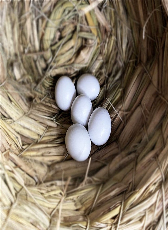 WOLEDOE 8Pcs Solid Plastic Parrot Fake Eggs, Keeping Them from Laying Anymore Eggs, Suit for Medium and Large Parrots, Pigeon, African Grey, Caique, Cockatoo, Sun Conures and Mini Macaw - Image 2