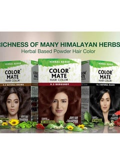 Color Mate No Ammonia Hair Color, 150g (9.1 Natural Black) - pzsku/Z299DF045747551436C3EZ/45/_/1740038066/e035b842-1595-4b30-afba-80340488f393