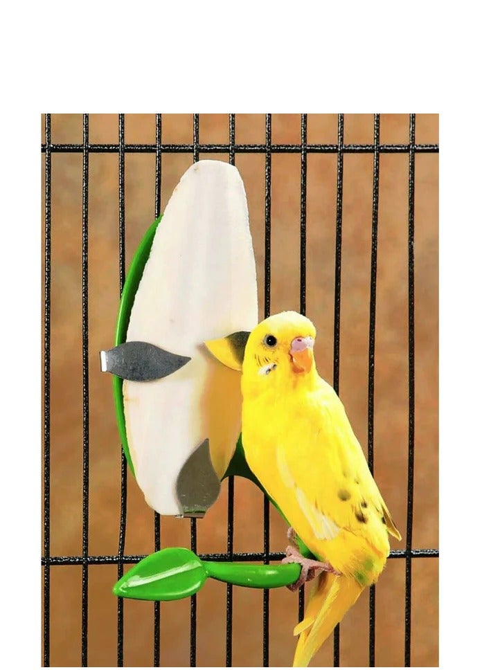 Natural Calcium Rich Cuttlefish Bone for Birds 2 Pieces