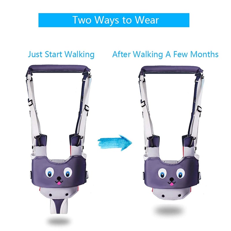 IULONEE Baby Walker, Handheld Kids Toddler Walking Harness Helper Assistant Protective Belt Child Activity Walker Adjustable Standing Up Walking Learning Helper for Toddler 7-24 Month (Grey) - Image 2
