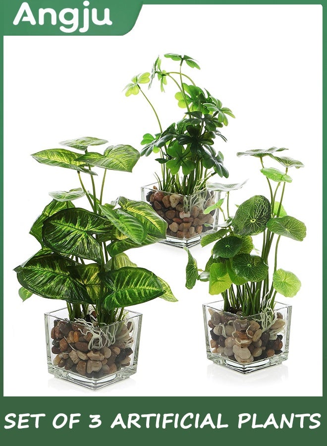 انججو مجموعة من 3 النباتات المزيفة الصغيرة ، النباتات الاصطناعية المزيفة في وعاء داخلي في وعاء زجاجي واضح مربع ، ديكور النبات المزيفة للغرفة ، مصنع الخضراء المزيفة في وعاء ديكور في زراعة سطح الطاولة - Image 1