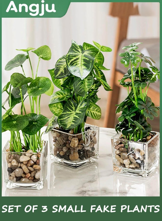 انججو مجموعة من 3 النباتات المزيفة الصغيرة ، النباتات الاصطناعية المزيفة في وعاء داخلي في وعاء زجاجي واضح مربع ، ديكور النبات المزيفة للغرفة ، مصنع الخضراء المزيفة في وعاء ديكور في زراعة سطح الطاولة - Image 2