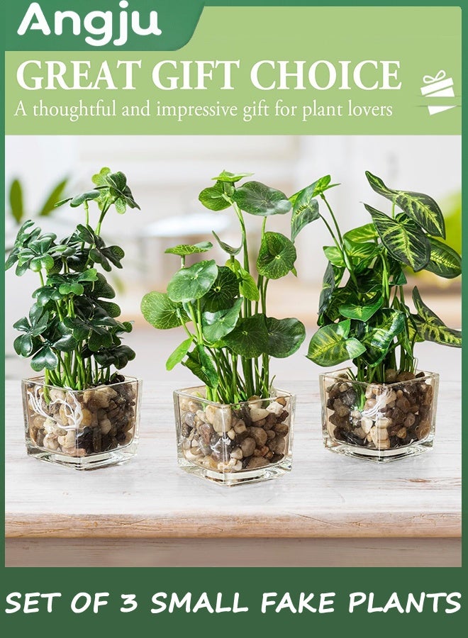 انججو مجموعة من 3 النباتات المزيفة الصغيرة ، النباتات الاصطناعية المزيفة في وعاء داخلي في وعاء زجاجي واضح مربع ، ديكور النبات المزيفة للغرفة ، مصنع الخضراء المزيفة في وعاء ديكور في زراعة سطح الطاولة - Image 3