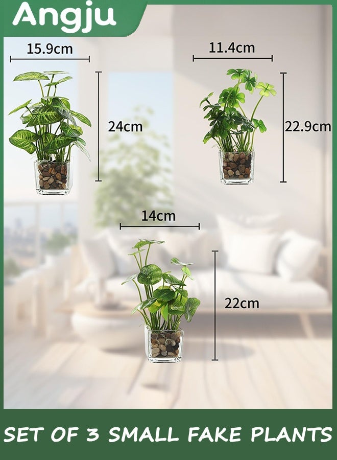 انججو مجموعة من 3 النباتات المزيفة الصغيرة ، النباتات الاصطناعية المزيفة في وعاء داخلي في وعاء زجاجي واضح مربع ، ديكور النبات المزيفة للغرفة ، مصنع الخضراء المزيفة في وعاء ديكور في زراعة سطح الطاولة - Image 4