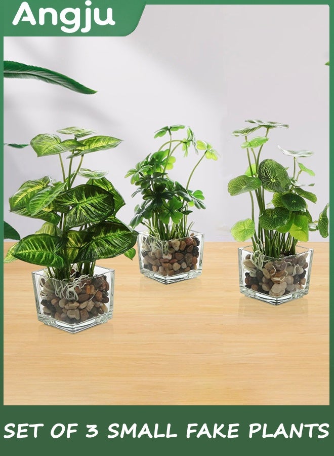 انججو مجموعة من 3 النباتات المزيفة الصغيرة ، النباتات الاصطناعية المزيفة في وعاء داخلي في وعاء زجاجي واضح مربع ، ديكور النبات المزيفة للغرفة ، مصنع الخضراء المزيفة في وعاء ديكور في زراعة سطح الطاولة - Image 5