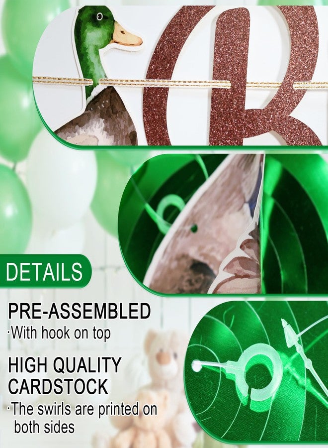 FOZEE Duck Hunting Birthday Banner, Mallard Duck Hanging Swirls, One Lucky Duck Birthday Decor, Mallard Duck Happy Bithday Banner, Duck Themed Birthday Party Decorations, 10PCS, Green, Brown - Image 4