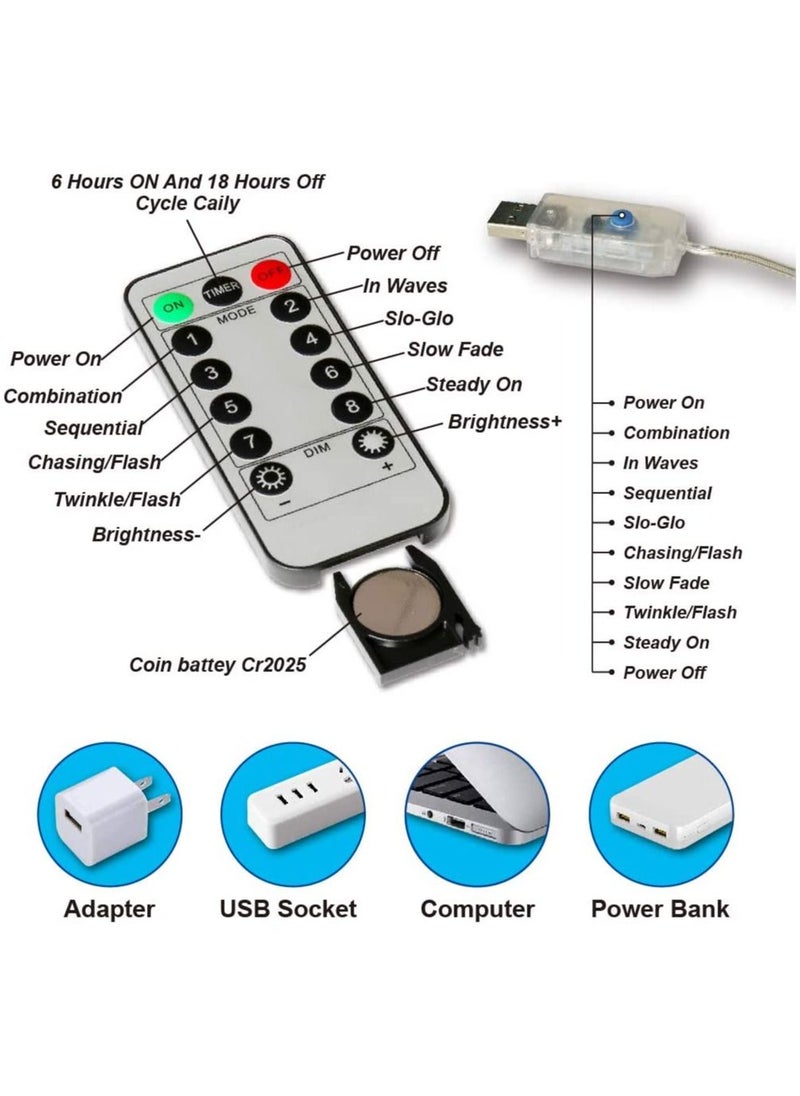 شاني - أضواء ستارة LED Shanny، مدعومة بمنفذ USB وعلى شكل سلسلة معلقة، ٣٠٠ LED، ٨ وضعيات للأضواء الجميلة مع جهاز التحكم عن بعد للديكور المنزلي وحفلات الزفاف والأحتفالات - Image 1